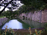 IMGP5499.jpg