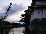 IMGP5504.jpg