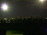 IMGP5550.jpg