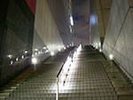 IMGP5559.jpg