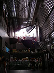 IMGP5576.jpg