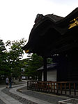 IMGP5585.jpg