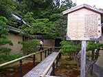 IMGP5591.jpg