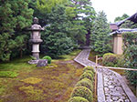 IMGP5593.jpg