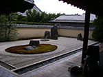 IMGP5595.jpg