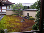 IMGP5602.jpg