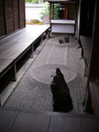 IMGP5605.jpg