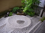 IMGP5606.jpg