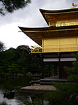 IMGP5620.jpg