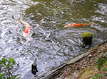 IMGP5623.jpg
