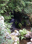 IMGP5624.jpg