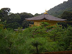 IMGP5630.jpg