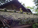 IMGP5634.jpg