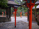 IMGP5638.jpg