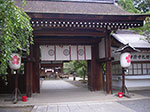IMGP5640.jpg