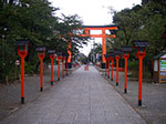 IMGP5641.jpg