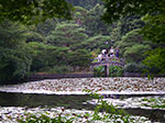 IMGP5644.jpg