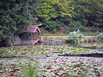 IMGP5652.jpg