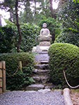 IMGP5656.jpg