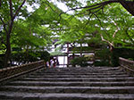 IMGP5658.jpg
