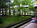 IMGP5674.jpg