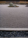 IMGP5684.jpg