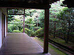 IMGP5687.jpg