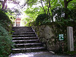 IMGP5688.jpg