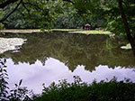 IMGP5694.jpg