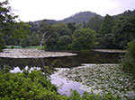 IMGP5696.jpg