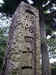 IMGP5697.jpg