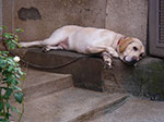 IMGP5698.jpg