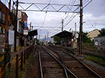 IMGP5702.jpg