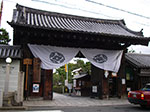 IMGP5704.jpg