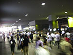 IMGP5716.jpg