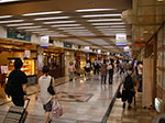 IMGP5730.jpg