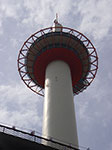 IMGP5734.jpg