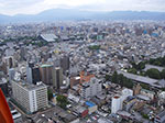IMGP5740.jpg