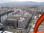 IMGP5743.jpg