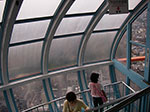 IMGP5773.jpg