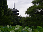 IMGP5799.jpg