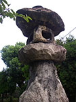 IMGP5803.jpg