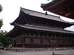 IMGP5807.jpg