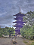 IMGP5810-hdr.jpg