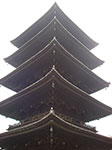 IMGP5825.jpg