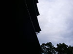 IMGP5831.jpg