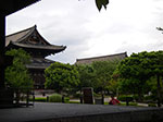 IMGP5839.jpg