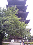 IMGP5846.jpg