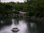 IMGP5849.jpg