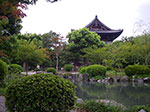 IMGP5857.jpg
